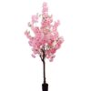 cherry blossom tree