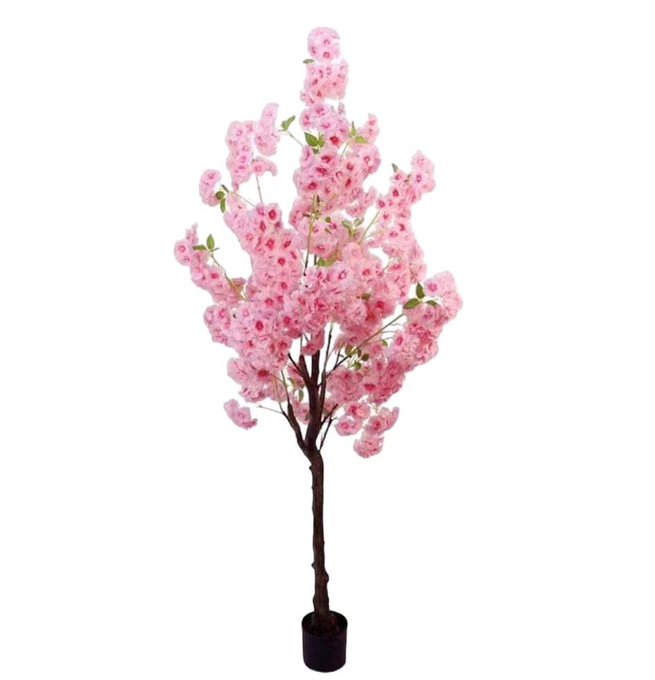 cherry blossom tree
