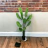 1.5m Tropical Artificial Plant with 10 Leaves - Outdoor & Indoor Plant in Pot