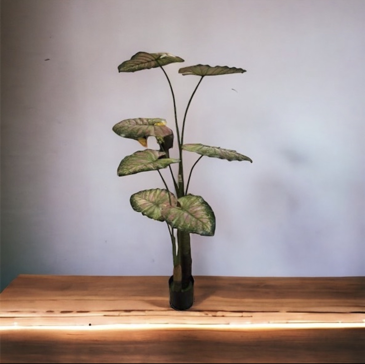 1.7m Artificial Caladium Plant - Indoor/Outdoor Foliage