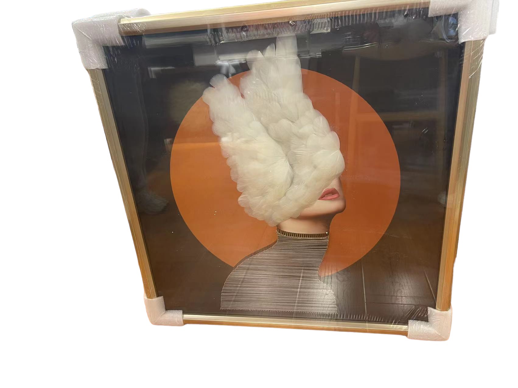 Abstract 3D Lady with Feathers Wall Art - Model 2